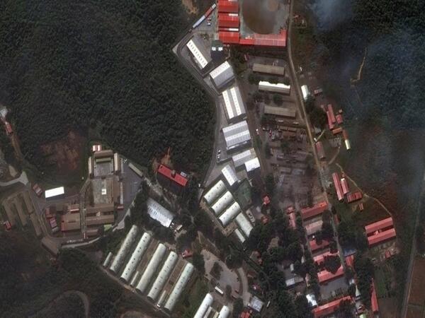 ABŞ-nin Venesueladakı əməliyyatı zamanı ölənlərin sayı 80-ə çatıb