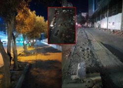 Xırdalanda ağacları kəsən vəzifəli şəxs cərimələndi - <span class="color_red">FOTO</span>