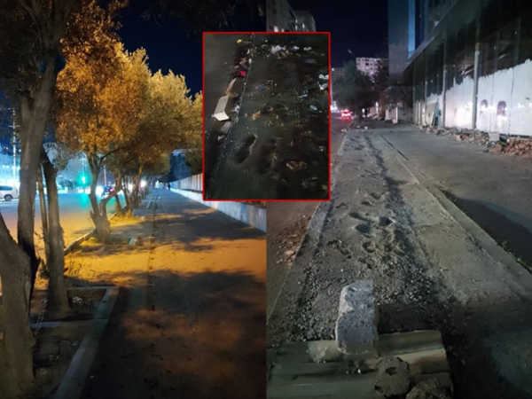 Xırdalanda ağacları kəsən vəzifəli şəxs cərimələndi - <span class="color_red">FOTO</span>