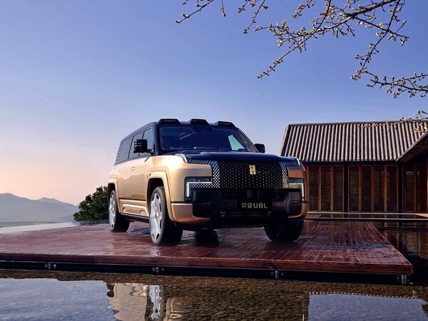 BYD-nin üzərinə 3 tonluq palma ağacını AŞIRDILAR - nəticə təəccübləndirdi - <span class="color_red">VİDEO</span>