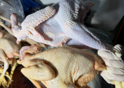 Sintetik maddə ilə rəngləyib "kənd çolpası" adı ilə satırmışlar - <span class="color_red">FOTO</span>