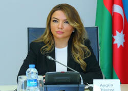 Aygün Əliyevaya yeni vəzifə verildi