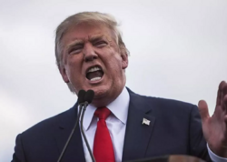 Tramp: "Mən kralam..."