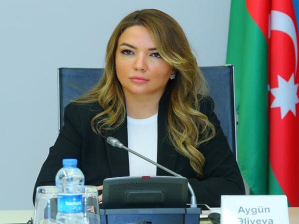 Aygün Əliyevaya yeni vəzifə verildi