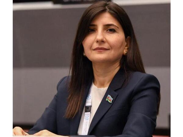 Prezident İlham Əliyevin müsahibəsi strateji mesajdır və növbəti illərin yeni geosiyasi mərhələsinin təsvirini yaradır - Sevil Mikaylova