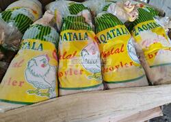 Azərbaycanda broyler şirkəti yenidən satışa çıxarıldı - <span class="color_red">FOTO</span>