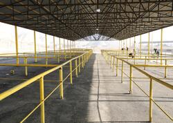 Göyçay heyvan satışı bazarının yaxın günlərdə açılışı olacaq