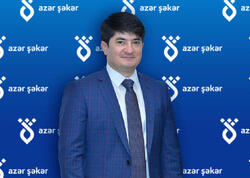 Anar Mehdiyevə cinayət işi açıldı - Yarım milyondan çox yeyinti