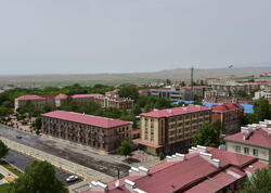 Azərbaycanda görünən heyvan təəccüb doğurdu: Beləsi hələ olmayıb – VİDEO