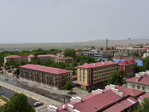 Azərbaycanda görünən heyvan təəccüb doğurdu: Beləsi hələ olmayıb – VİDEO