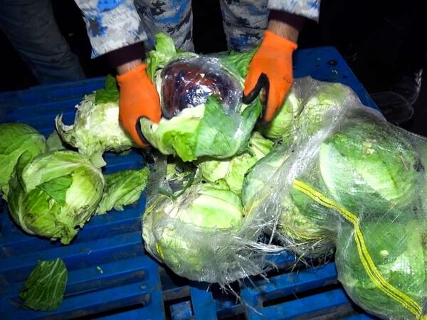 Gömrükdən kələm adı ilə keçirirdilər - İçindən narkotik çıxdı - <span class="color_red">FOTO</span>