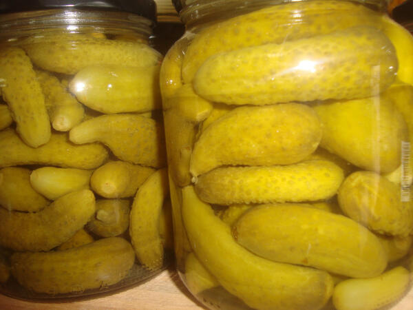 Turşu yeməyin xərçəngə qarşı FAYDALARI