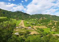 "Bu kənddə qazı olmayana qız vermirlər"