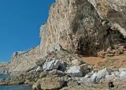 40 min illik sirr açıldı: Buz dövrünün "qonağı" laboratoriyada