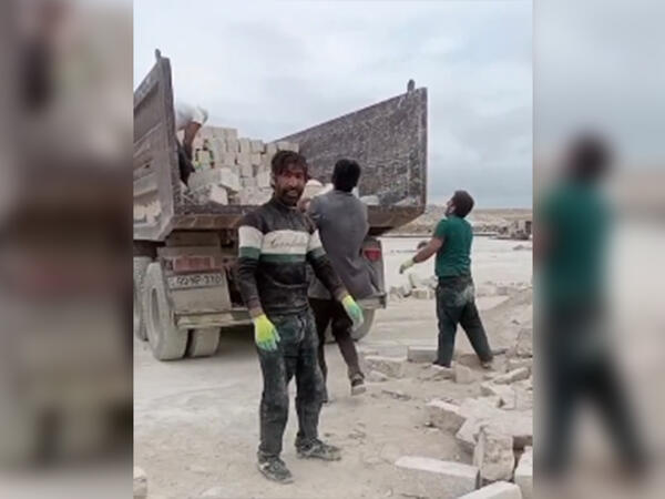 Meyiti tapılan Kamalın papağı başqa yerdə aşkarlanıb - Ayaqqabısının bir tayı isə yoxdur...