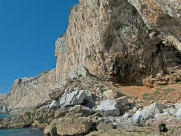 40 min illik sirr açıldı: Buz dövrünün "qonağı" laboratoriyada