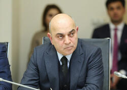 ADY-nin sədr müavini vəzifəsindən azad edildi