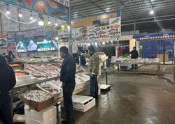 Farel bahalaşıb, digər növlər necədir? - Balıq bazarından REPORTAJ - FOTO