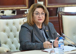 “İş yerləri açılır, amma narazılıq bitmir”