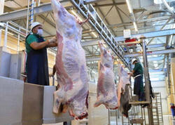 Ət alarkən ehtiyatlı olun - Həyatınıza təhlükə ola bilər - AÇIQLAMA