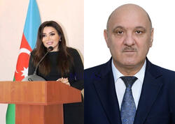 Nəsimi icrada dəyişiklik - Səlahiyyət Gülarə Verdiyevadan alındı, ona tapşırıldı