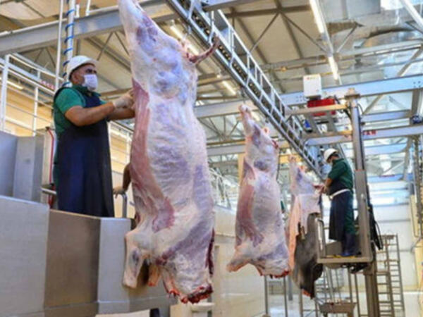 Ət alarkən ehtiyatlı olun - Həyatınıza təhlükə ola bilər - AÇIQLAMA