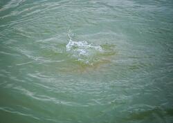 50 yaşlı kişi su kanalında boğularaq öldü