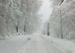 Qar yağdı - həyat dayandı - <span class="color_red">FOTO</span>