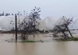 Cəlilabadda intensiv yağışlar ciddi fəsadlara yol açıb