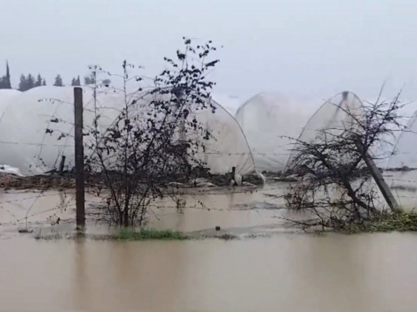 Cəlilabadda intensiv yağışlar ciddi fəsadlara yol açıb
