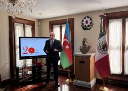 Meksikada 20 Yanvar şəhidlərinin xatirəsi yad edilib - <span class="color_red">FOTO</span>