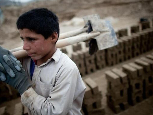 Uşaqların əməyinə nəzarət gücləndirildi – valideyn razılığı tələb olunur