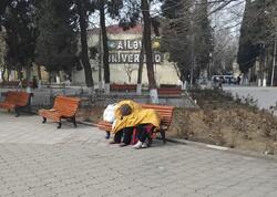 Küçədə yaşayan 12 yaşlı uşaq və anasının aqibəti necə olacaq? - RƏSMİ AÇIQLAMA