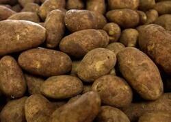 Bazarlarda təhlükəli kartof satılır? - Ekspertlər xəbərdarlıq edir