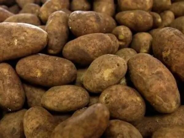 Bazarlarda təhlükəli kartof satılır? - Ekspertlər xəbərdarlıq edir