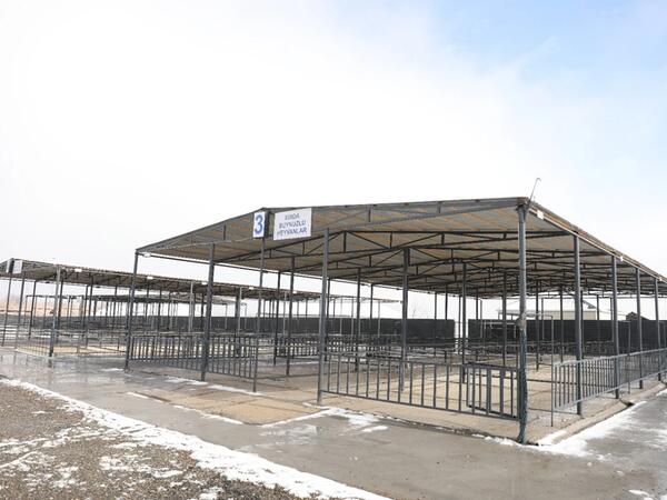 Ağcabədi heyvan bazarının fəaliyyətinə icazə verilib