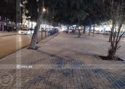 Əhmədlidə tikintiyə icazə verilməyən ərazidə ağaclar kəsildi, yerinə daş döşəndi - <span class="color_red">FOTO</span>