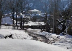 Gənclər Lənkəranın dağ kəndlərini niyə tərk edir? - <span class="color_red">VİDEO</span>