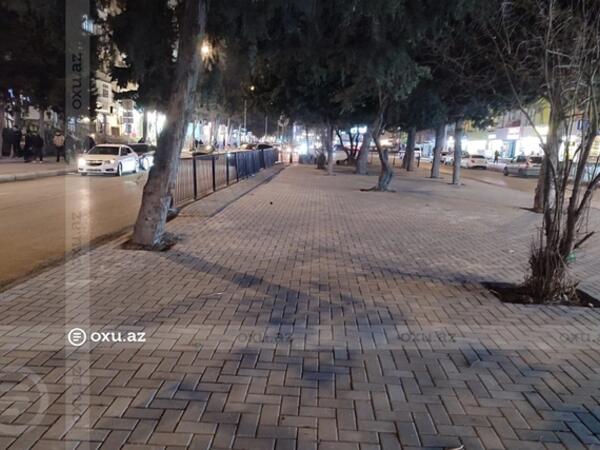 Əhmədlidə tikintiyə icazə verilməyən ərazidə ağaclar kəsildi, yerinə daş döşəndi - <span class="color_red">FOTO</span>