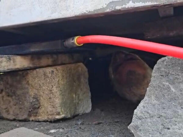 Avtobusun altında köməksiz qalan şəxs xilas edildi - <span class="color_red">FOTO</span>