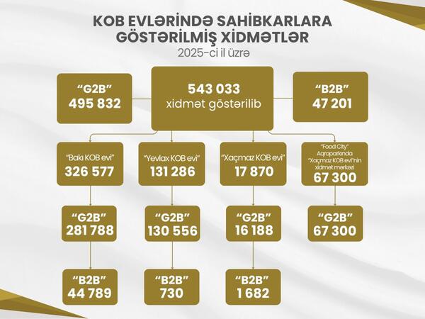 Ötən il KOB evlərində sahibkarlara 543 mindən çox xidmət göstərilib