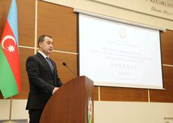 Bakıda icra başçısı iki şöbənin müdirini işdən çıxardı, baş mühasibə yeni vəzifə verdi