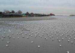 Türkiyədə hamı bu görüntülərdən DANIŞIR - <span class="color_red">FOTOlar</span>