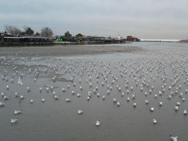 Türkiyədə hamı bu görüntülərdən DANIŞIR - <span class="color_red">FOTOlar</span>