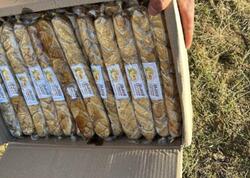 Özbəkistandan Azərbaycana gətirilən bu məhsullarda göbələk kifi aşkarlandı