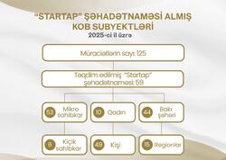2025-ci ildə 59 mikro və kiçik sahibkar innovativ layihələr üzrə vergi güzəştləri əldə edib