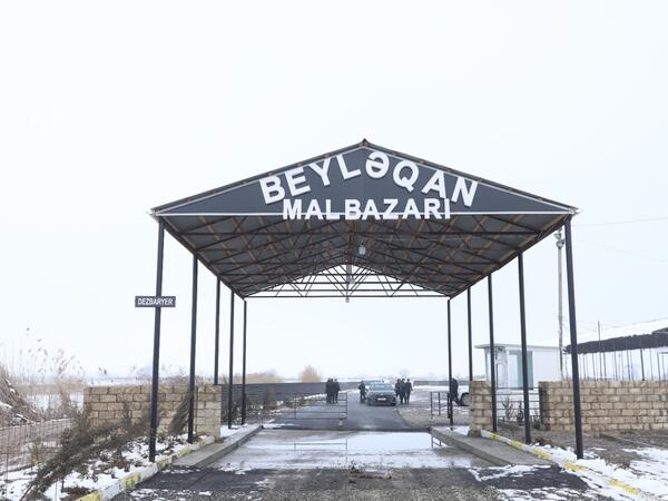 Beyləqan heyvan bazarının fəaliyyətinə icazə verilib