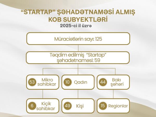 2025-ci ildə 59 mikro və kiçik sahibkar innovativ layihələr üzrə vergi güzəştləri əldə edib