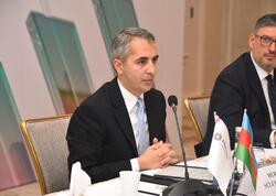 "PAŞA Bank"ın tələb olunan kapital adekvatlığı 22%-dir - Murad Süleymanov