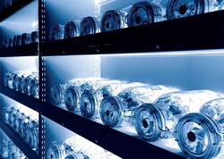 Alimlər "Qiyamət anbarı"nı açdı: Toxumlar sahəyə çıxır